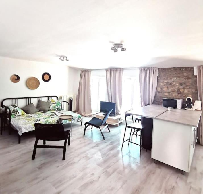 Studio Coquet Avec Vue Sainte-Foy-lès-Lyon Buitenkant foto